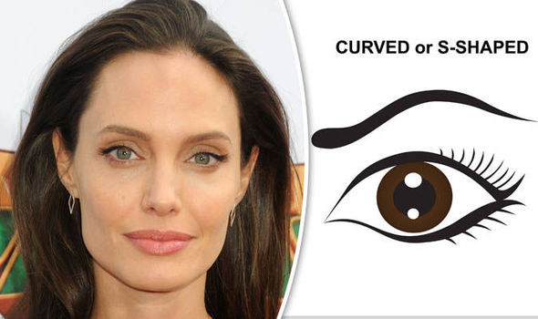 Celebrity eyebrows: Angelina Jolie tops list of eyebrows women most desire