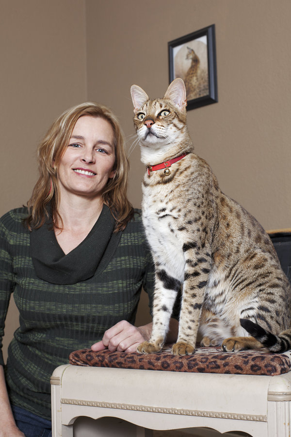 Celebrate National Cat Day With These Record-Setting Felines