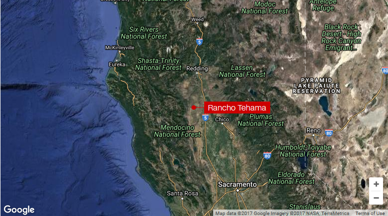 4 dead after California shootings; gunman tried to enter school