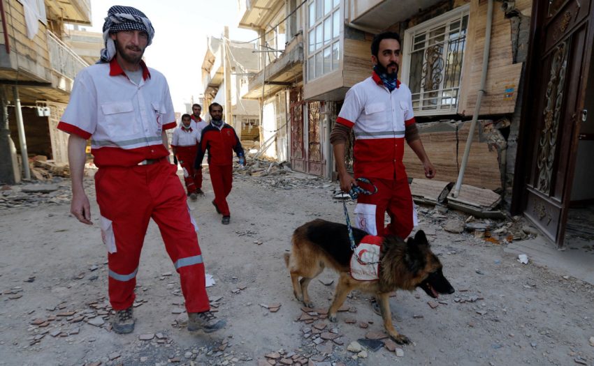 Rescuers dig through debris after Iran-Iraq earthquake kills more than 530