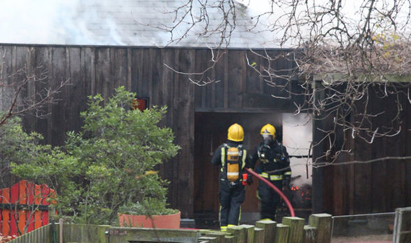 Fire rips through London Zoo with petting area engulfed in flames, 70 fighters on scene