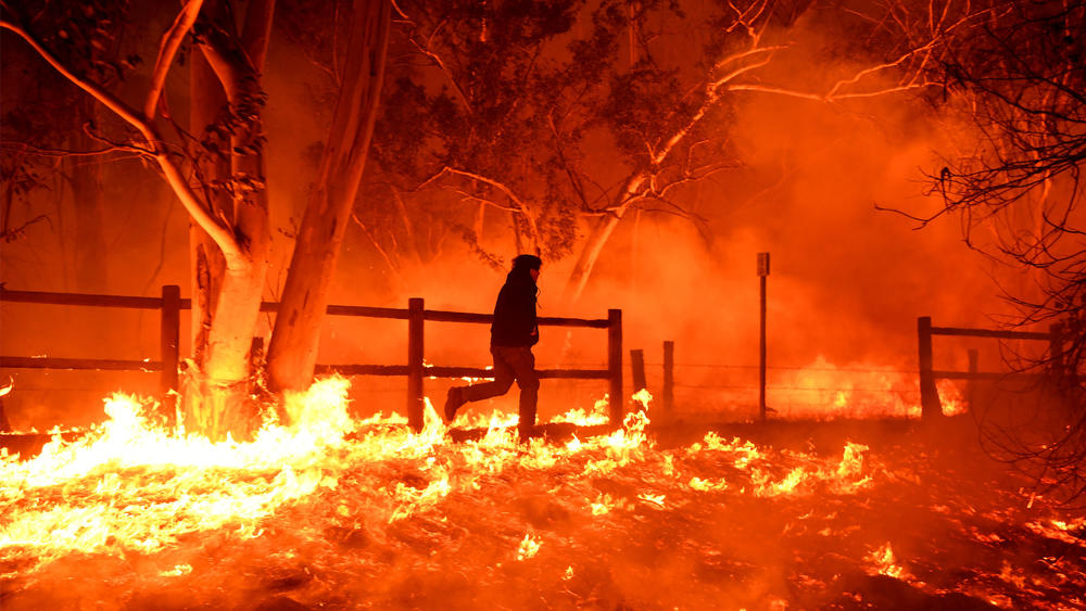 Ventura County wildfire rages over 50,000 acres, reaches Pacific Ocean as it jumps 101 Freeway