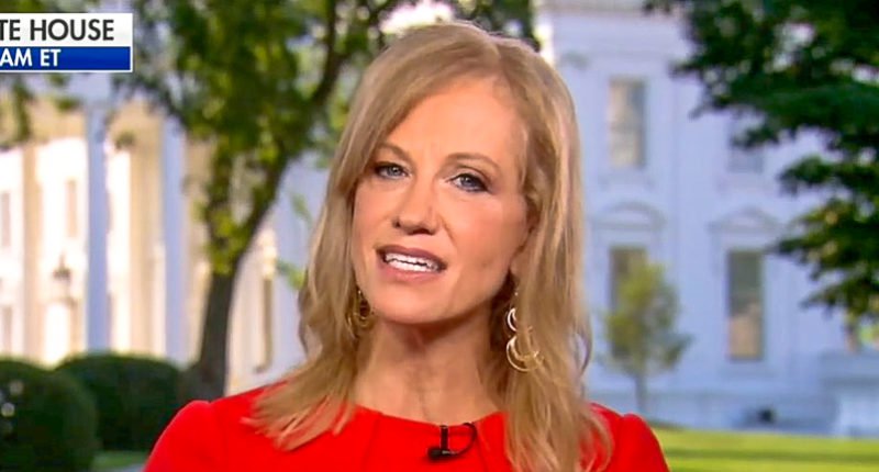 Kellyanne Conway snaps after CNN’s John Berman reads her Trump’s divisive statements: ‘You’re cherry picking!’