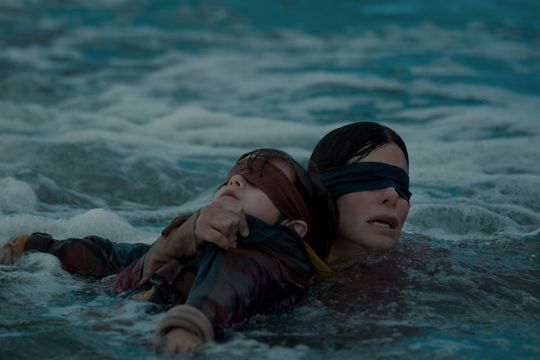 Bird Box is scary-ish: What critics say about Sandra Bullocks blindfolded Netflix drama