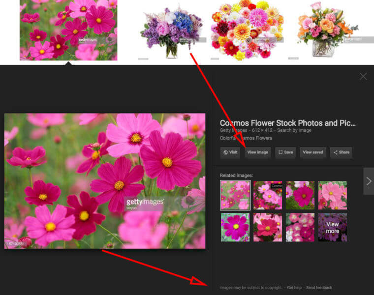Google Image Search removes View Image button and Search by Image feature