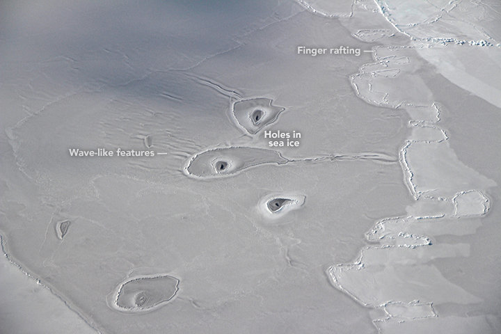 NASA Aircraft Spots Mysterious Circles In Remote Arctic Sea Ice