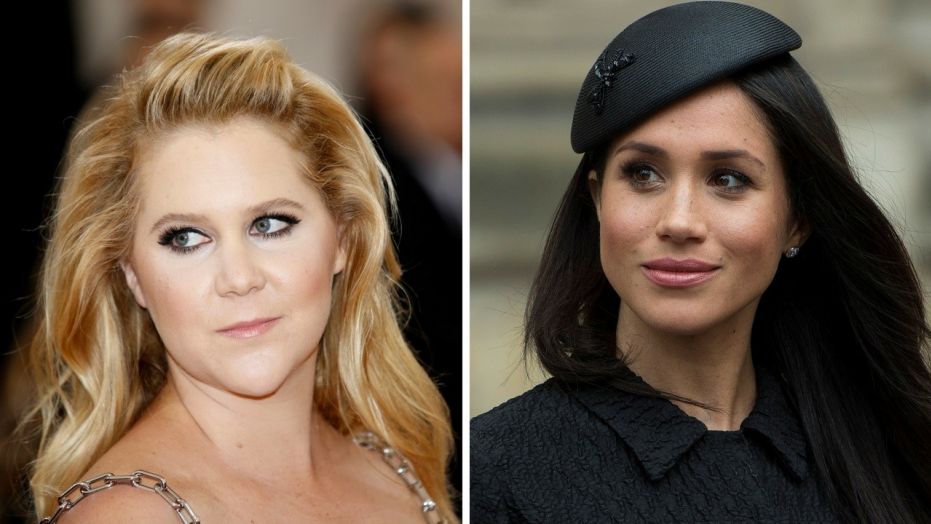 Amy Schumer says royal wedding is going to suck, compares day to Westminster Dog Show
