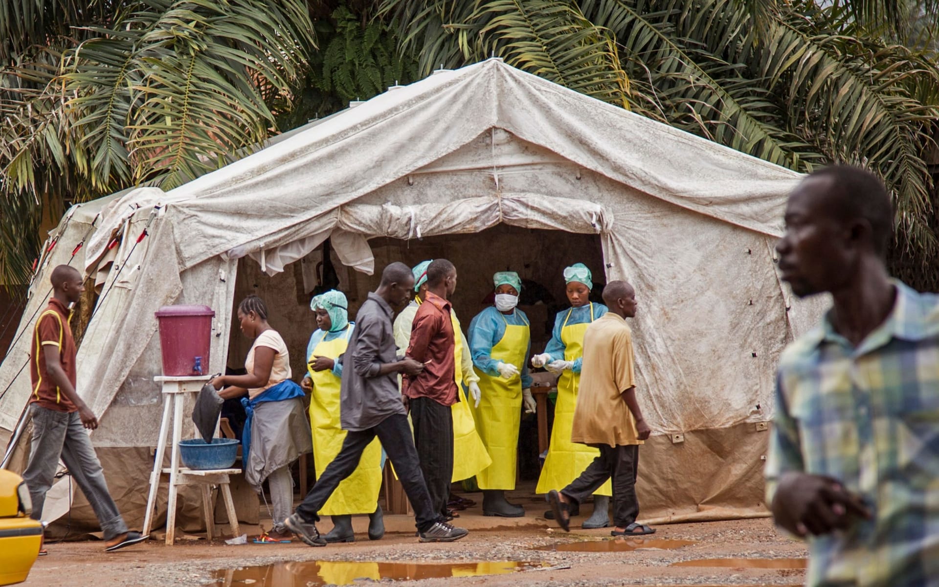 New outbreak of Ebola kills 17 in Democratic Republic of Congo