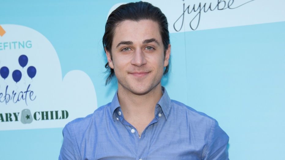 Wizards of Waverly Place Star David Henrie Charged in Airport Gun Case