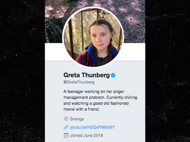 President Trump Condescends Greta Thunberg, She Trolls Him Right Back