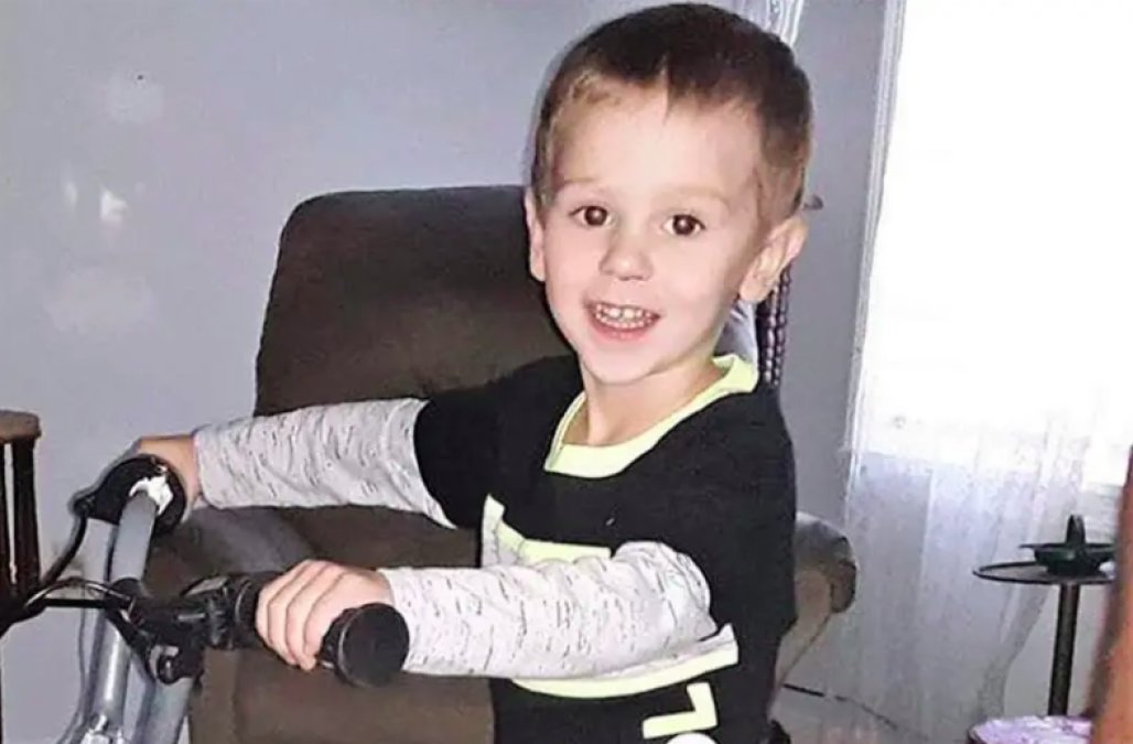 3-year-old boy who went missing in woods for days says bear kept him safe