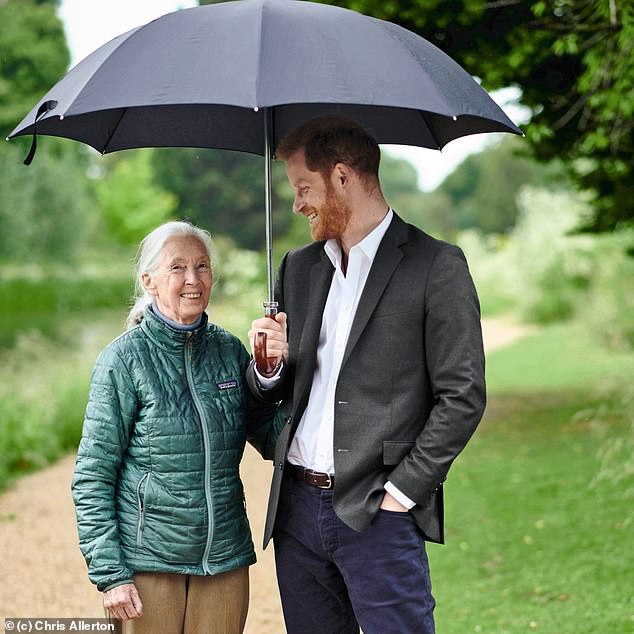 Prince Harry is finding life a bit challenging in Los Angeles, says his friend Dr Jane Goodall
