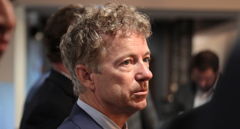 ‘You’re not listening’: Rand Paul gets schooled at Senate’s COVID-19 hearing as he clashes with Fauci
